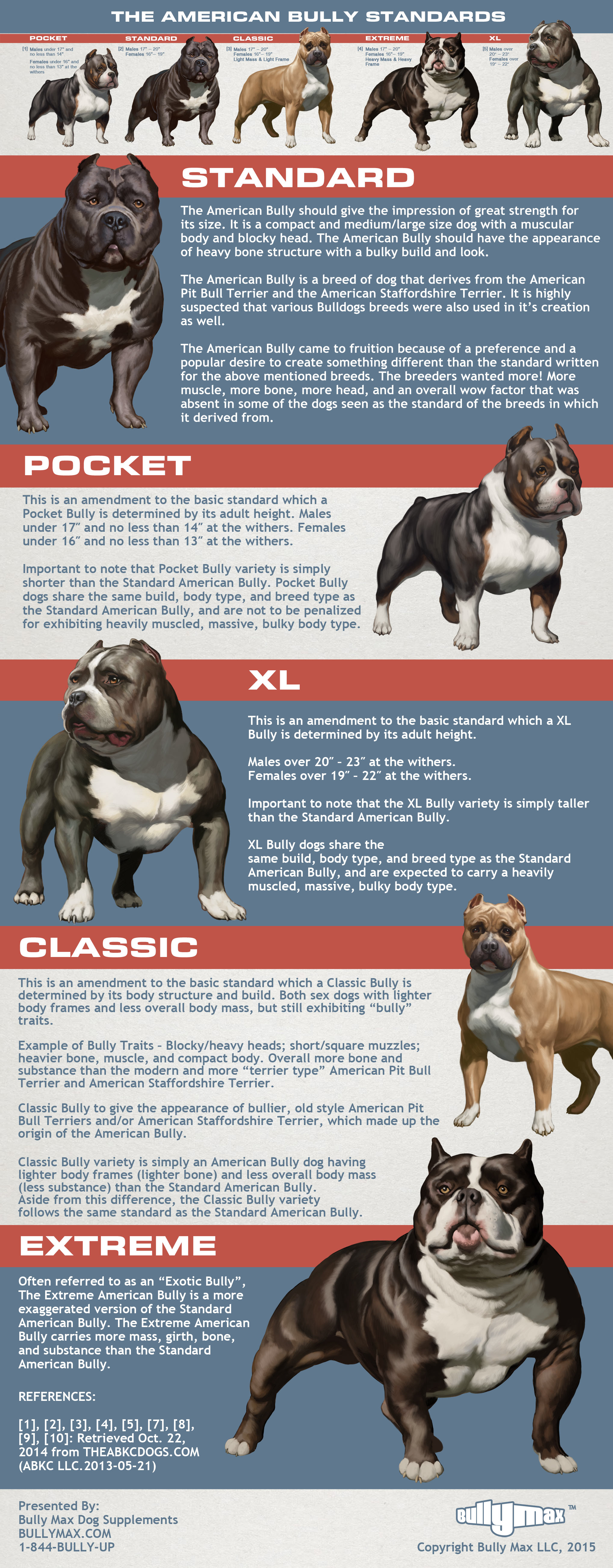 Staffordshire Bull Terrier Size Chart